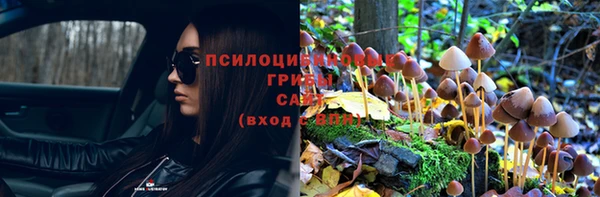 соль ск Балабаново