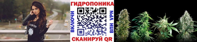 Каннабис Ganja  купить наркоту  Жуков 